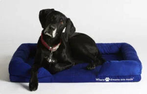 Dog Bed - Sleep Republic