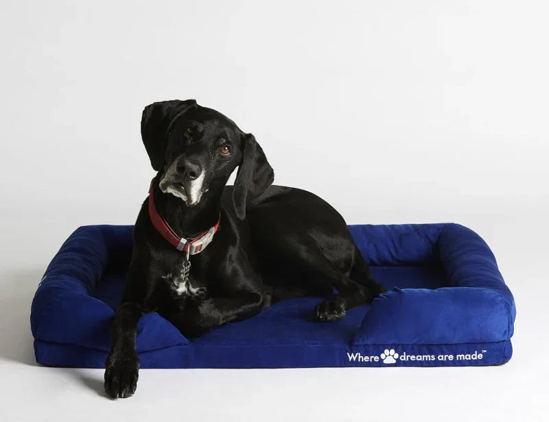 Sleep Republic Dog Bed - Sleep Republic