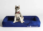Sleep Republic Dog Bed - Sleep Republic
