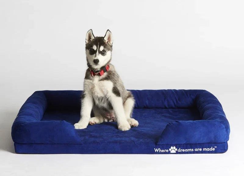 Sleep Republic Dog Bed - Sleep Republic