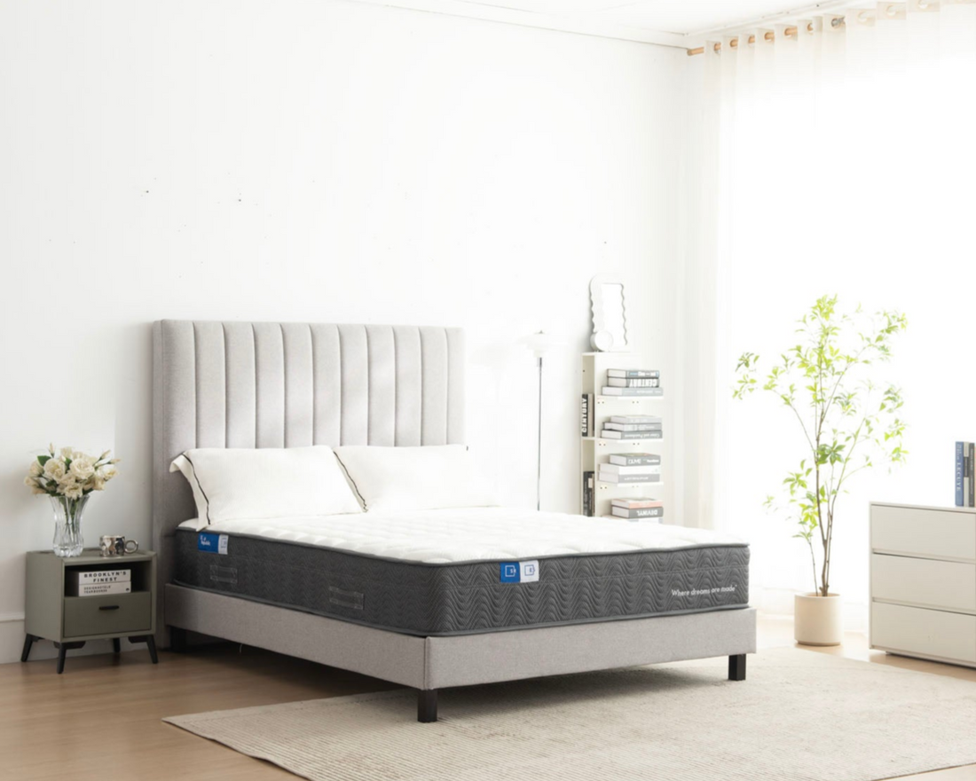 THE MATTRESS