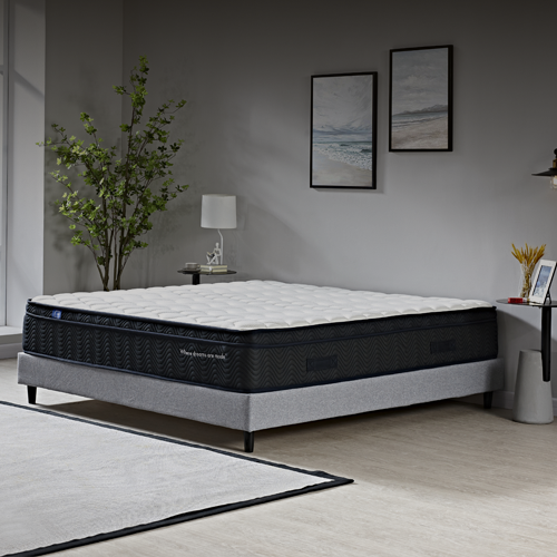 Modern bedroom with king-size mattress on grey platform bed, neutral decor, green plant, and wall art