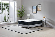 Double Mattress and Base Bundle - Sleep Republic