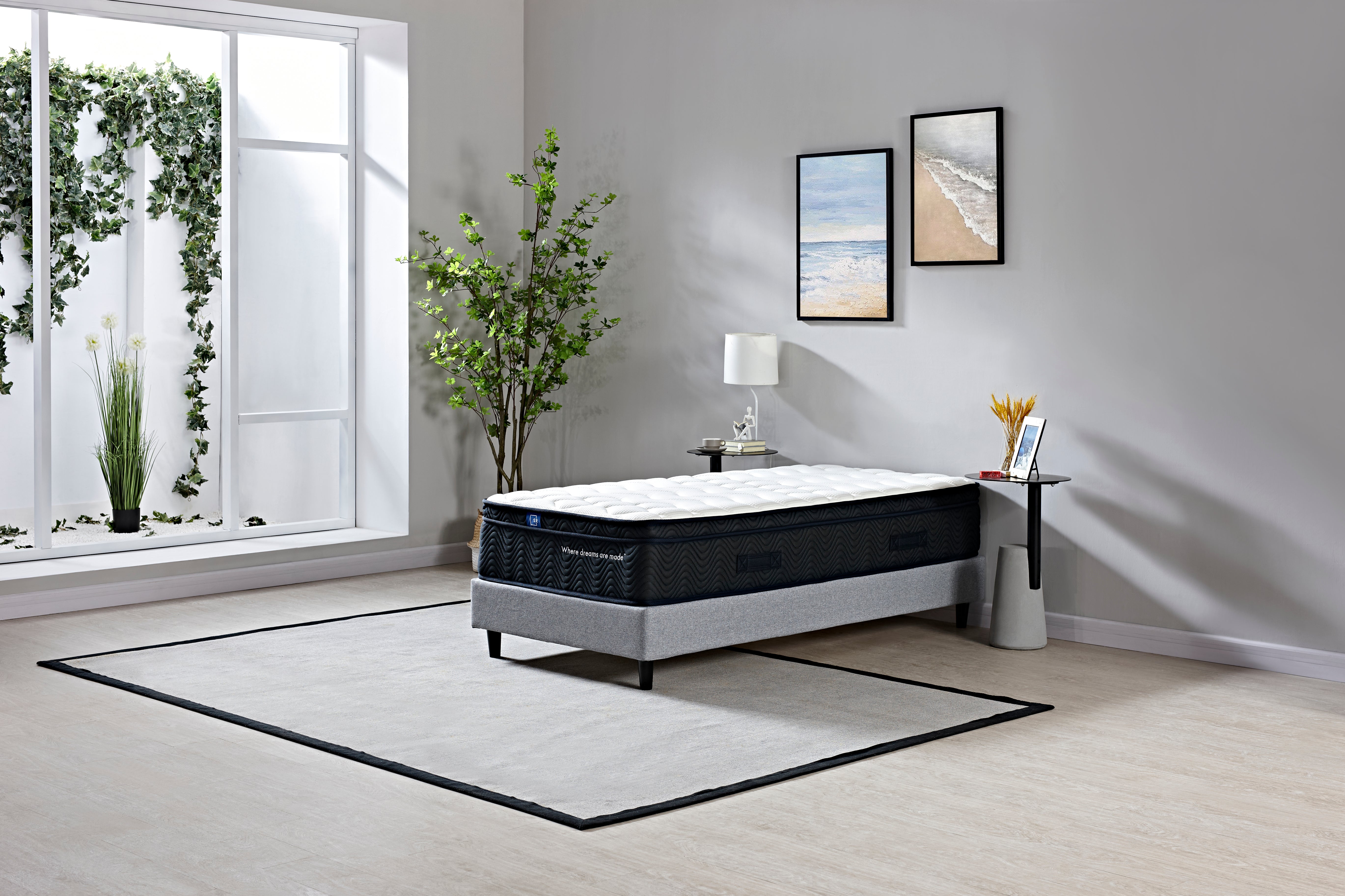 Single Mattress and Base Bundle