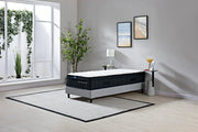 Double Mattress and Base Bundle - Sleep Republic